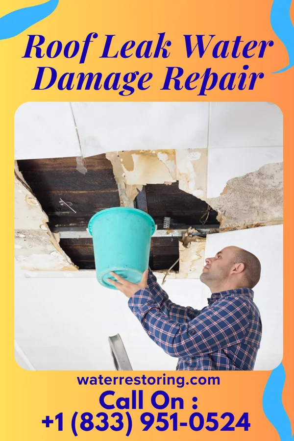 Roof Leak Water Damage Repair in Lawrence, IN