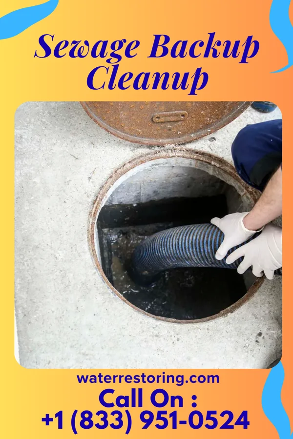 Sewage Backup Cleanup in Lawrence, IN