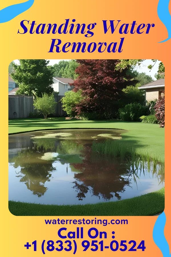 Standing Water Removal in Lawrence, IN
